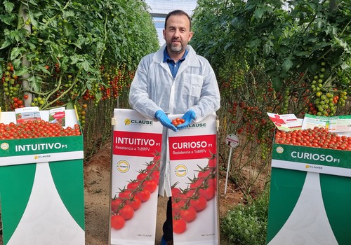 Centinela, Freeman, Curioso e Intuitivo:  soluciones de garantía ante el TOBRFV de HM.CLAUSE