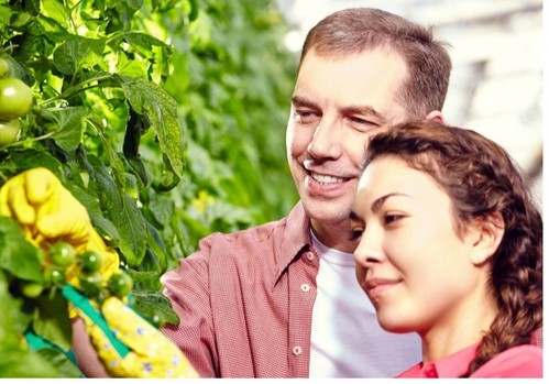 La juventud agraria española cree que la viabilidad de las explotaciones va ligada a la innovación y las nuevas tecnologías