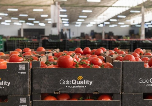 Grupo Agroponiente se incorpora a la Asociación 5 Al Día, “una magnífica herramienta de promoción de la salud a través del consumo de frutas y hortalizas”