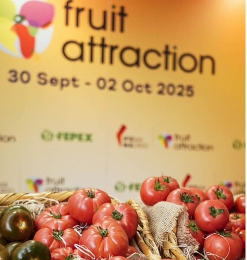 Fruit Attraction 2025 crece un 5% y prevé reunir a más de 2.500 empresas y 120.000 profesionales