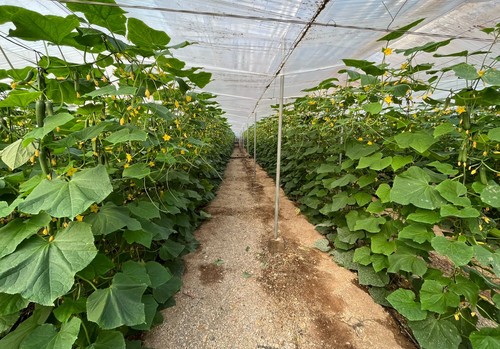 Lanzan un canal anónimo de denuncias para vigilar las malas prácticas agrícolas