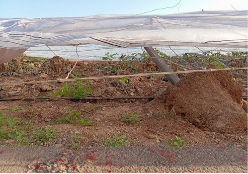 El Ministerio de Agricultura, Pesca y Alimentación abre información pública sobre un nuevo decreto de ayudas a damnificados por la dana