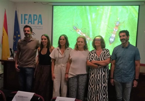 La Junta da a conocer los resultados de sus estudios para el control biológico del Thrips parvispinus en invernadero