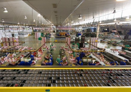 La exportación de frutas y hortalizas hasta mayo se estabiliza en volumen y crece un 8% en valor