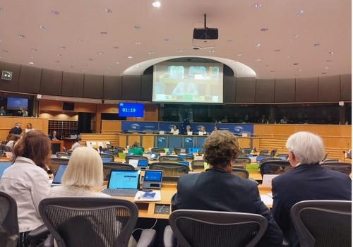 La Comisión de Peticiones del Parlamento Europeo aborda el Acuerdo de la UE con Marruecos y las sentencias sobre el Sáhara