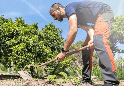 El Ministerio de Agricultura, Pesca y Alimentación concede 4,5 millones de euros en ayudas a 382 jóvenes agricultores y operadores del sector pesquero