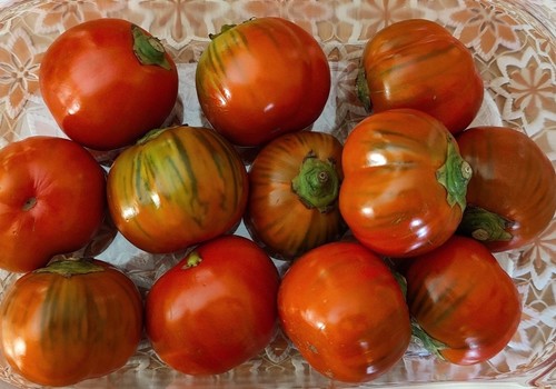 Un nuevo método permite silenciar genes en plantas para mejorar el rendimiento de los cultivos
