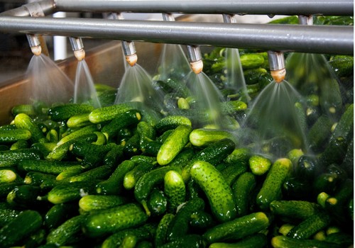 Las exportaciones hortofrutícolas andaluzas crecen un 11% y superan los 4.555 millones