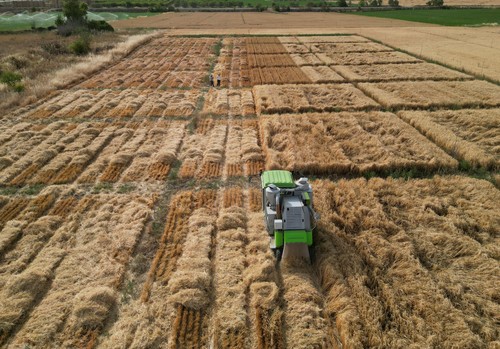 El Ministerio de Agricultura finaliza la campaña de ensayos agronómicos de cultivos de invierno