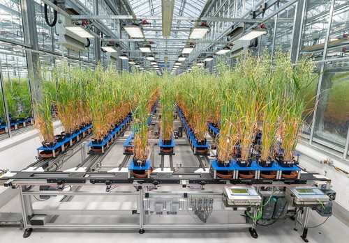 La inteligencia artificial y la biotecnología serán la próxima revolución en los cultivos