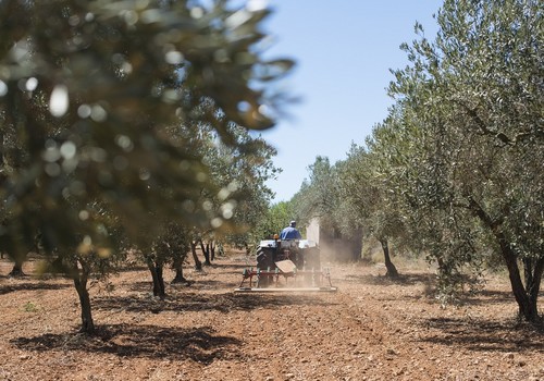 Más de 300 M€ en ayudas para fomentar el relevo generacional y actualizar la maquinaria del campo