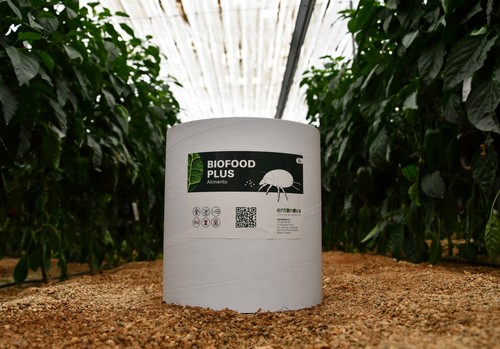 Entonova recuerda la importancia de alimentar a la fauna auxiliar con Biofood Plus