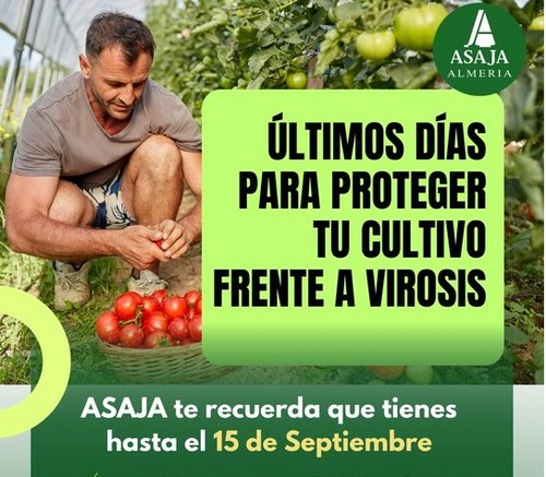 El 15 de septiembre finaliza el plazo para proteger el cultivo frente a virosis