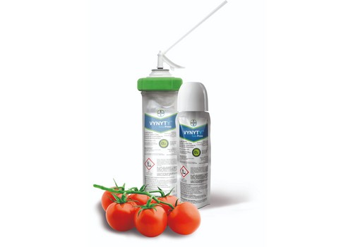 Manejo de tuta absoluta en el cultivo de tomate en invernadero