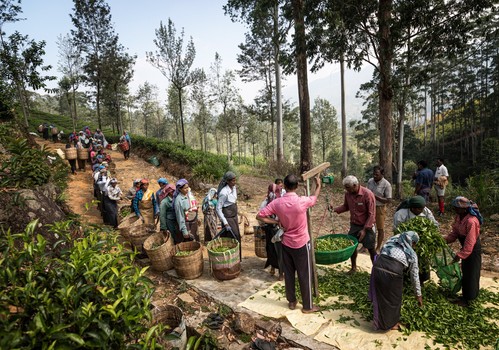 Se abren las inscripciones a los premios World Food Photography Awards