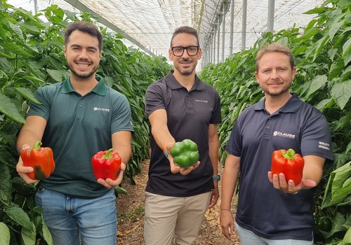 HM.CLAUSE sienta las bases de la campaña de pimiento con Nesmet, Kefrén y Belenus como bandera