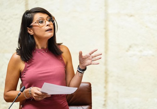 El PP denuncia un nuevo “varapalo” del Gobierno de Sánchez a la provincia al negarle la cesión de agua entre los regantes del Tajo y Almanzora