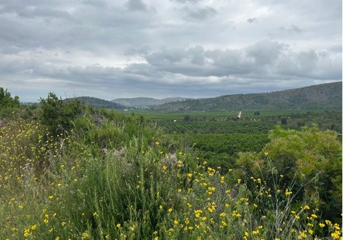 Un proyecto piloto de GLOBALG.A.P. demostrará los beneficios de la sostenibilidad en el campo