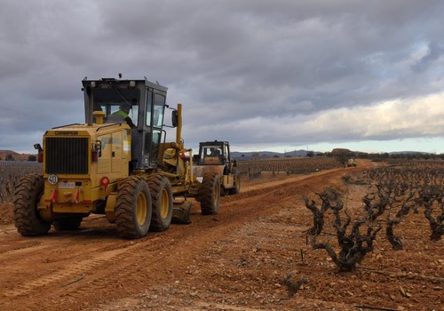 Planas señala que el sector agroalimentario participa del buen crecimiento de la economía española