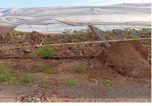 El Ministerio de Agricultura, Pesca y Alimentación publica el listado de 2.436 agricultores y ganaderos afectados por la dana que recibirán la ayuda extraordinaria de 9,8 millones de euros