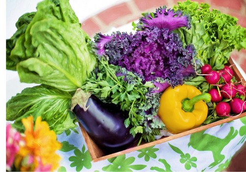 España reafirma su compromiso para garantizar la seguridad alimentaria frente a los desafíos geopolíticos y climáticos