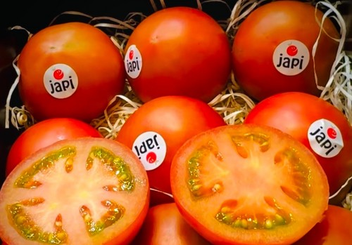 Sakata presenta en Fruit Attraction su joya gourmet: Japi, el tomate que ‘sabe hacerte feliz’
