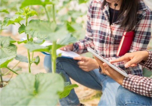 La CE reconoce las reivindicaciones del sector agrario y aprueba la ampliación del plazo para el cuaderno digital
