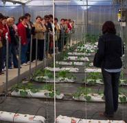 La V Jornada Provincial de la Mujer analiza la situación actual de las mujeres en el campo