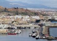 Almería y Lituania intercambiarán frutas, hortalizas, turbas y fertilizantes a través del tráfico marítimo
