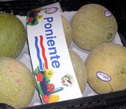 Las comercializadoras almerienses apuestan por la normalización en origen de las frutas y hortalizas