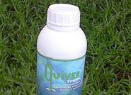 ‘Quiver Fresh’, nuevo producto para desinfectar suelos, sustratos y bandejas de semilleros desarrollado por la empresa almeriense Laboratorios Quiver