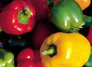 El plazo de presentación de los programas operativos de las organizaciones de productores de frutas y hortalizas concluye hoy