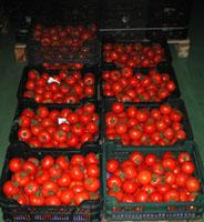 UPA reclama al Gobierno información sobre las negociaciones de la OCM vino y frutas