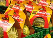 El servicio de Investigación Agraria de EEUU desarrolla variedades de sandías ‘mini’ bajas en azúcar y ricas en antioxidantes