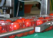 Almafrut S.L., realizará una jornada de puertas abiertas para dar a conocer al sector sus productos e instalaciones