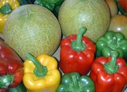 El consumo de frutas y hortalizas durante el embarazo previene la aparición de enfermedades alérgicas en recién nacidos