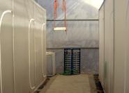 IFAPA Almería cuenta con un túnel insectario único en la provincia para evaluar el desarrollo y los beneficios de los organismos auxiliares en los cultivos hortícolas