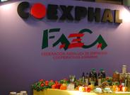 Coexphal afirma que la fortaleza del sector hortícola almeriense se mantiene a pesar de las pérdidas por las heladas