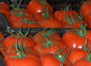 La Semana Santa y el menor volumen de producción suben el precio del tomate