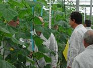 Investigadores del CIFA desarrollan un sustrato con lombrices