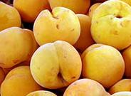 El consumo de fruta reduce los riesgos cardiovasculares relacionados con la obesidad