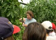 La gerente de Crisol Agro, Lola Gómez premio 'Mujer empresaria 2004' de Andalucía