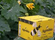 La totalidad de los cultivos de tomate de Almería se polinizan mediante abejorros