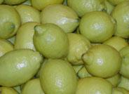 La producción de limones ascendió a 1.090.000 toneladas en la campaña 2006/2007