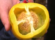 Expertos de Estados Unidos desarrollan un método que permite conocer la calidad interna de frutas y hortalizas
