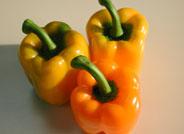 El periplo de un pimiento