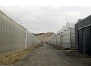 La Cámara inicia una misión comercial con representantes del sector agrícola almeriense y la industria auxiliar a Ucrania