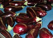 BERENJENA (Solanum melongea L.)