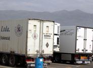 Más del noventa por ciento de las exportaciones almerienses a Rusia pertenecen al sector hortofrutícola