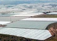 El Ejido inicia la nueva campaña agrícola con el campo limpio de residuos